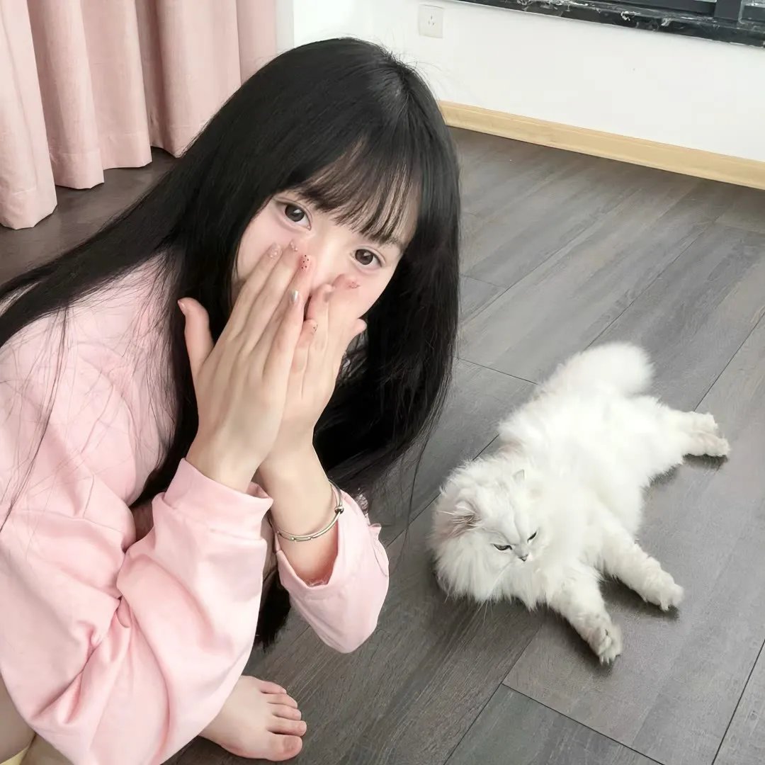 冒险家:宝盒的诅咒